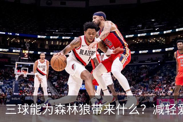 三球能为森林狼带来什么？减轻爱德华兹单打负担 麦丹能惩罚对手
