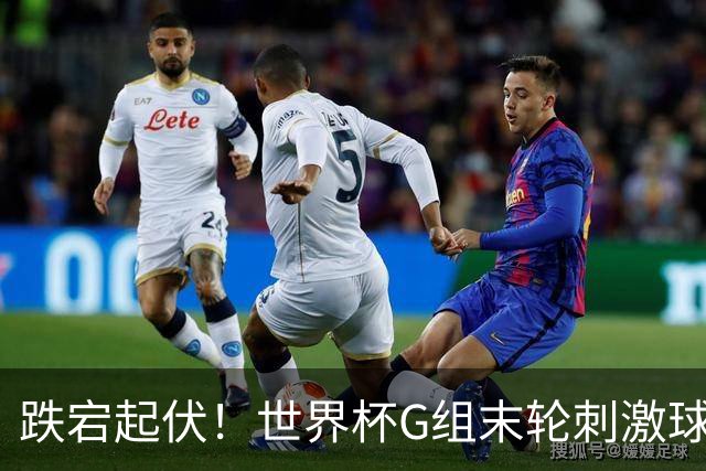 跌宕起伏！世界杯G组末轮刺激球迷心脏 伊朗狂喜过后遭打击